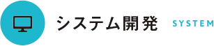 システム開発